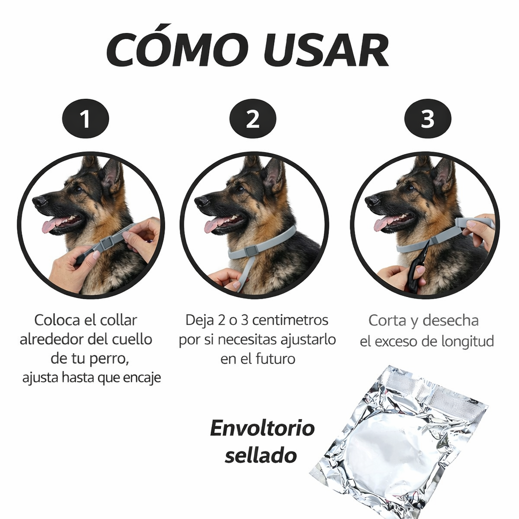 Cómo se coloca el collar PerrosAmor